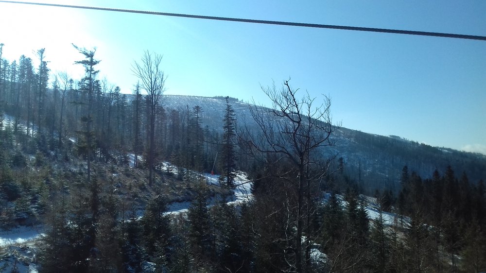 20180330_092019.jpg