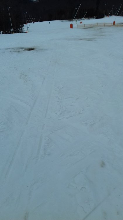 20180330_160616.jpg