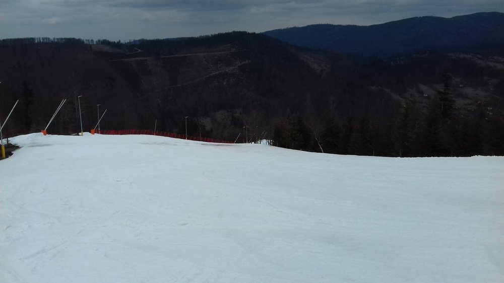 20180330_160741.jpg