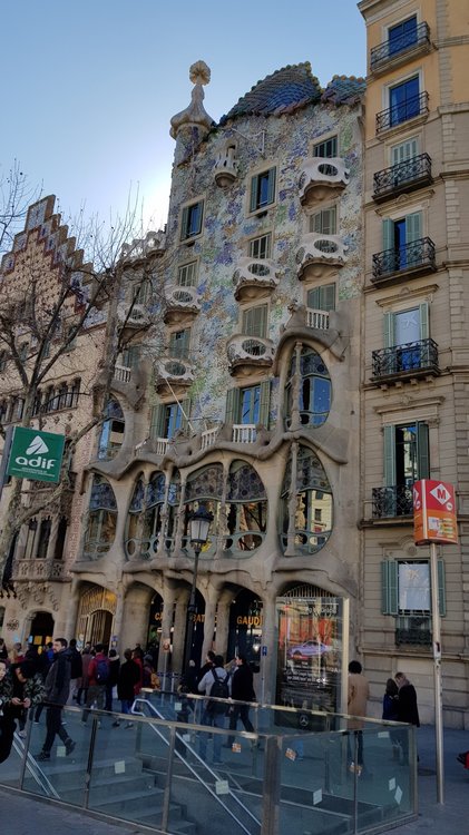 5a9c0979897a9_b1(6)-1134x2016.thumb.jpg.38ae36878c8e17111cf5c7dcefd60b8d.jpg