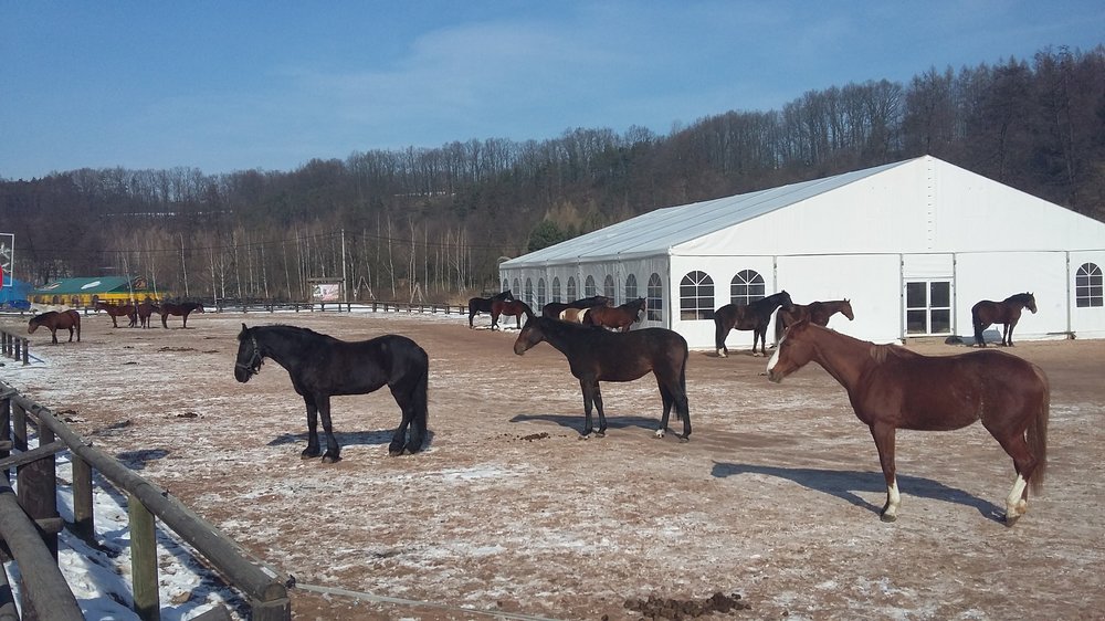20180305_110306[1].jpg