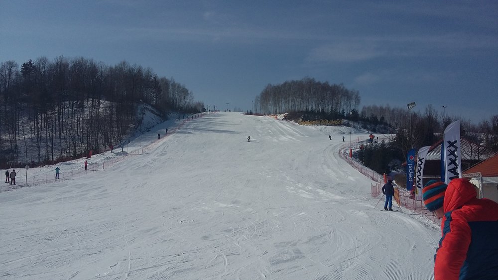 20180305_110433[1].jpg