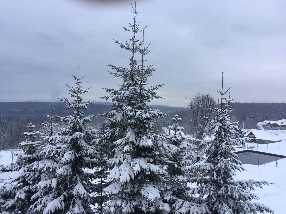 C7980911-9CF9-4773-85F3-5AF28F180C2C.jpeg