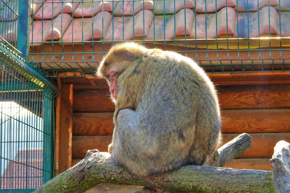 DSC01147.thumb.JPG.5f53b54a51654f05cdbfc62dc2a17996.JPG
