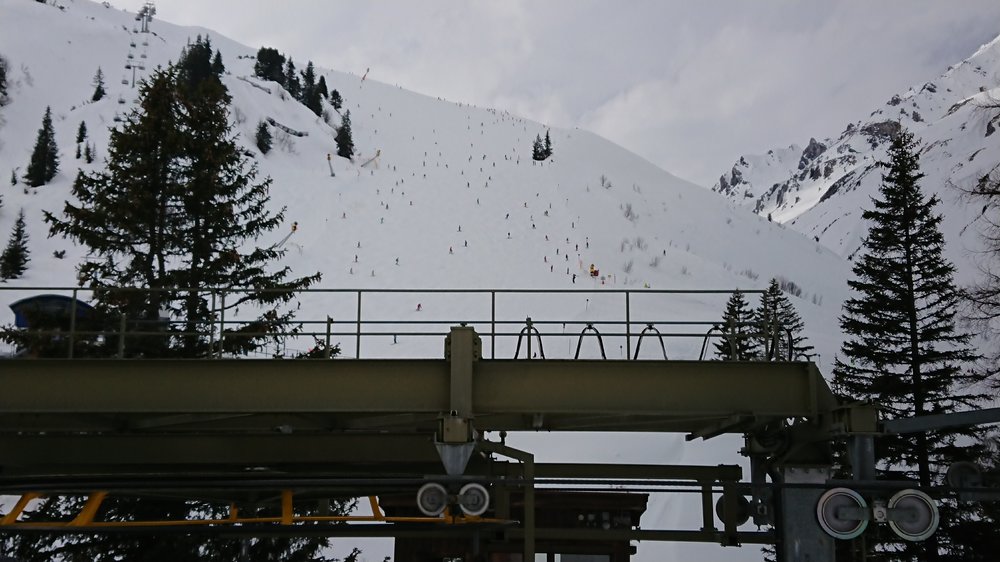 DSC_0295.JPG