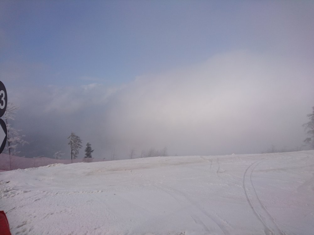 DSC_1560.JPG