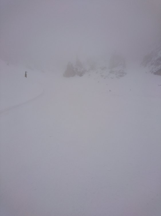 DSC_1877.JPG