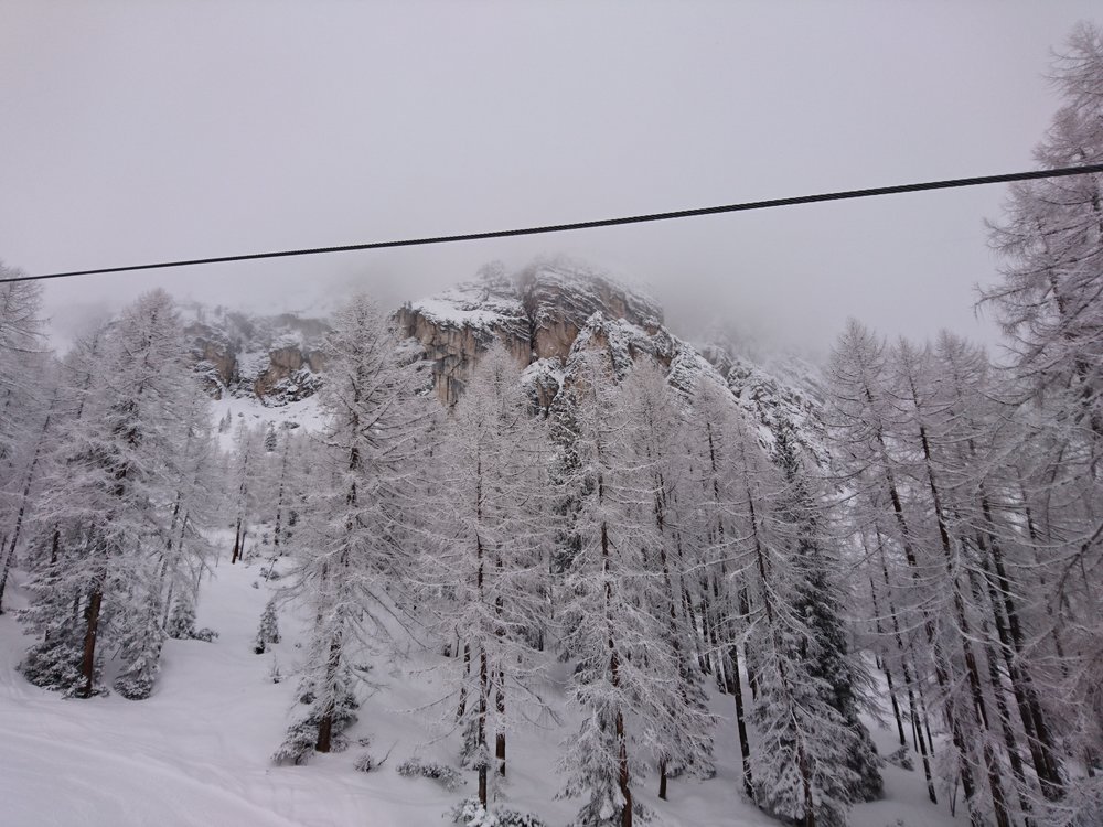 DSC_1879.JPG