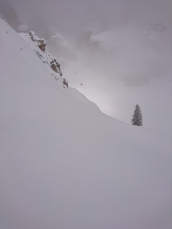 DSC_1895.JPG