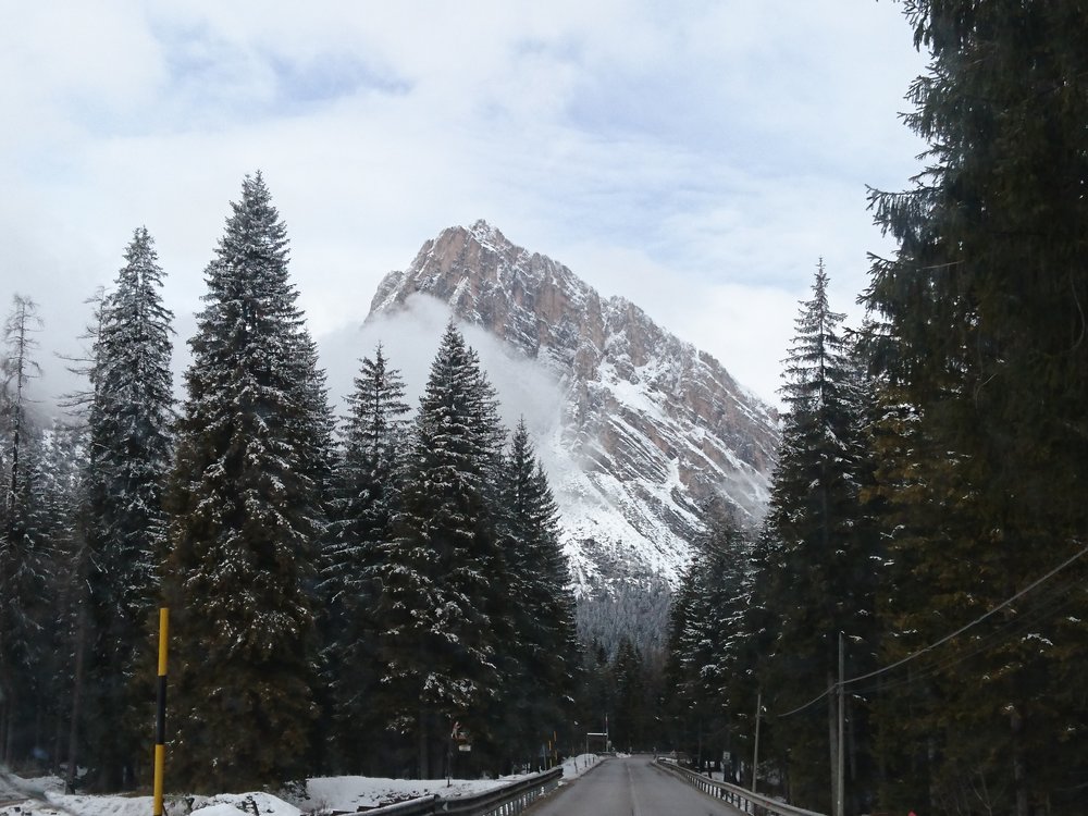 DSC_1976.JPG