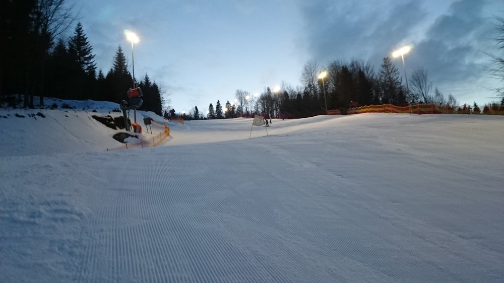 DSC_2988.JPG