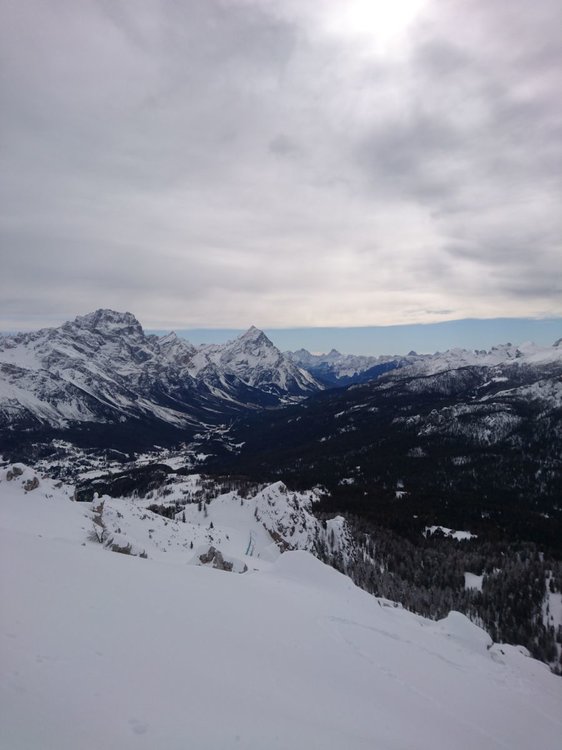 DSC_9575.thumb.JPG.e56474632033554a7b88f7606a2fb167.JPG