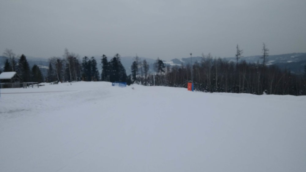 IMG_20180302_081457_BURST1.jpg
