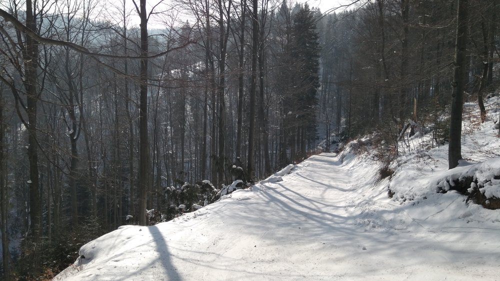 IMG_20180303_104820.jpg