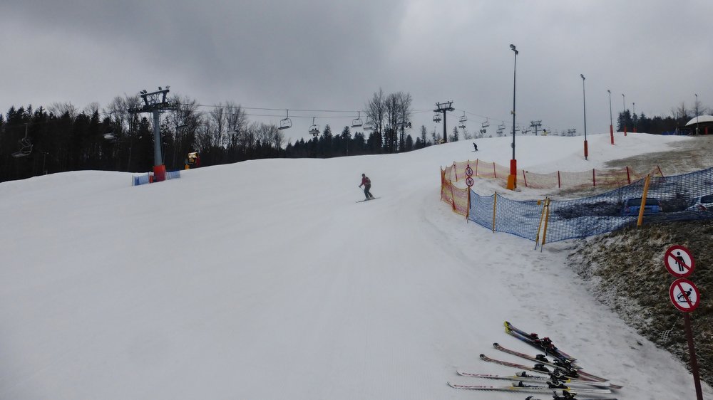 P1210257.thumb.JPG.a3d889922b94e36f48c56425344a8a7d.JPG