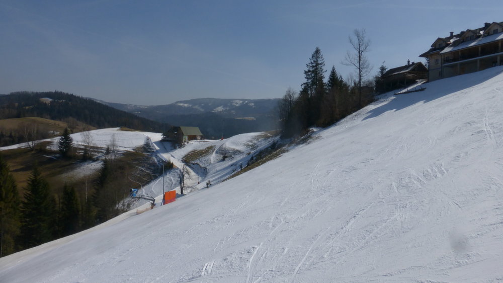 P1210452.thumb.JPG.372832c4f0049b6e99715a385df458e4.JPG