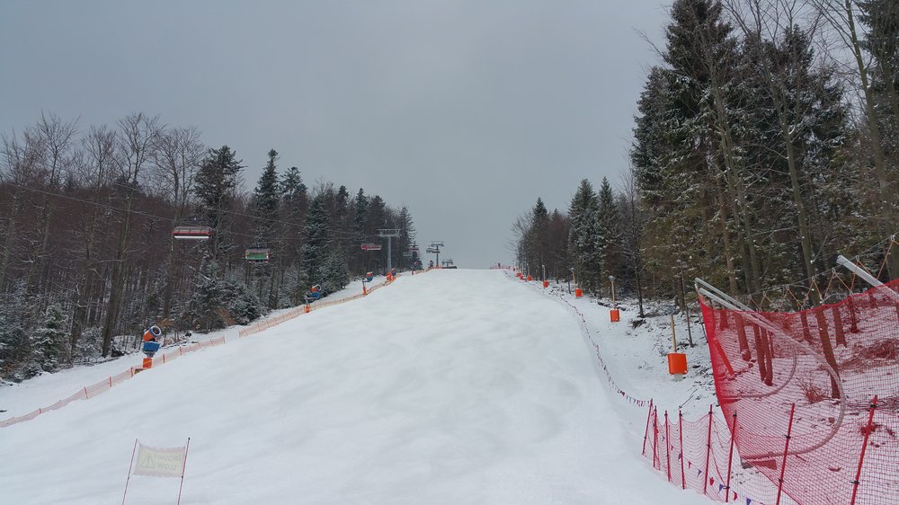 20180402_092015.jpg