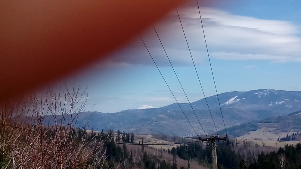20180403_142518.thumb.jpg.fd637f3c9e6631217b97bb3c6773f293.jpg