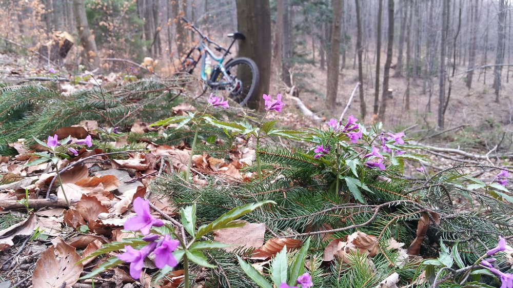 20180407_171814.jpg