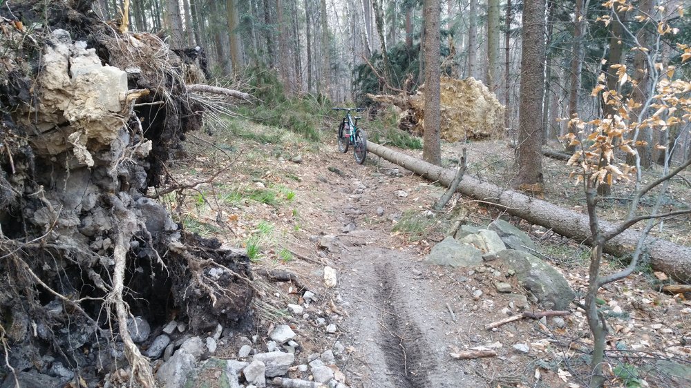 20180407_175923.jpg