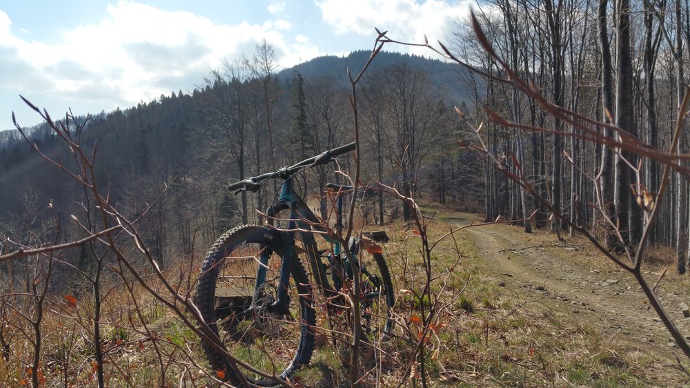 20180408_112610.jpg