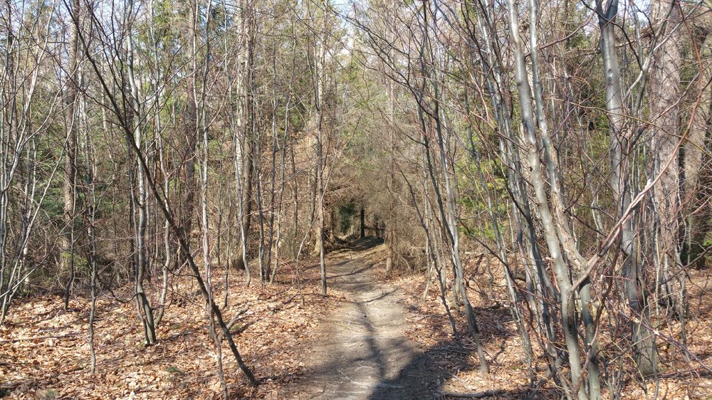 20180408_114420.jpg