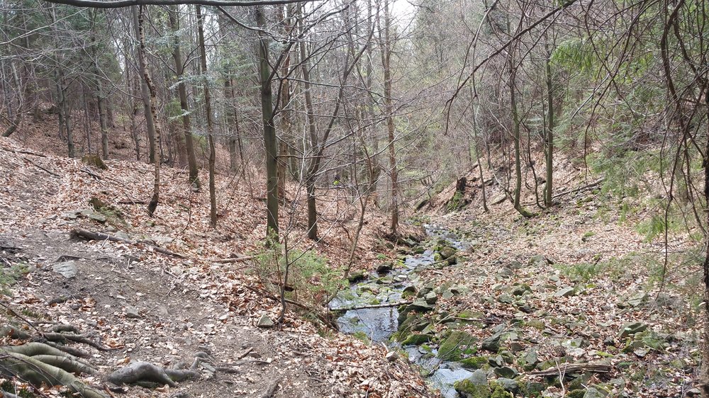 20180415_121057.jpg