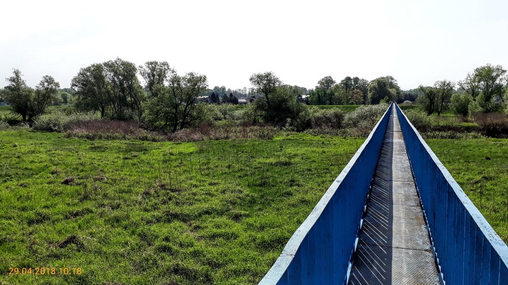 20180429_101845.jpg