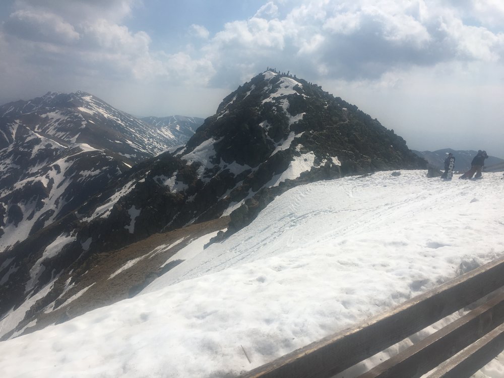 2F7D3798-F0B7-45C3-A77A-897CC318B891.jpeg