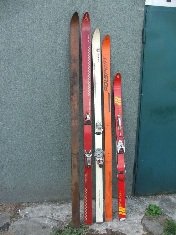5ad107a9ae04e_Mjquiver.thumb.jpg.bb4dc47fe5f87bf0275148095c4acf06.jpg