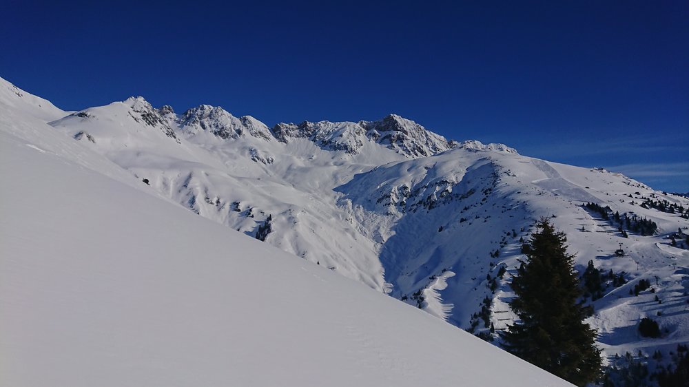 DSC_0335.JPG