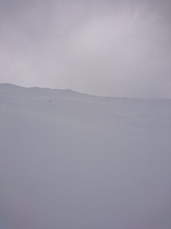 DSC_1657.JPG