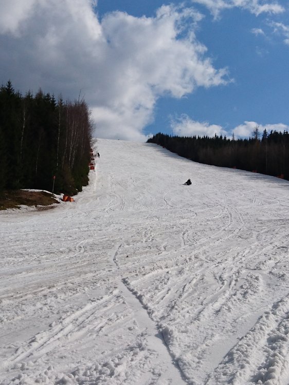DSC_2464.JPG