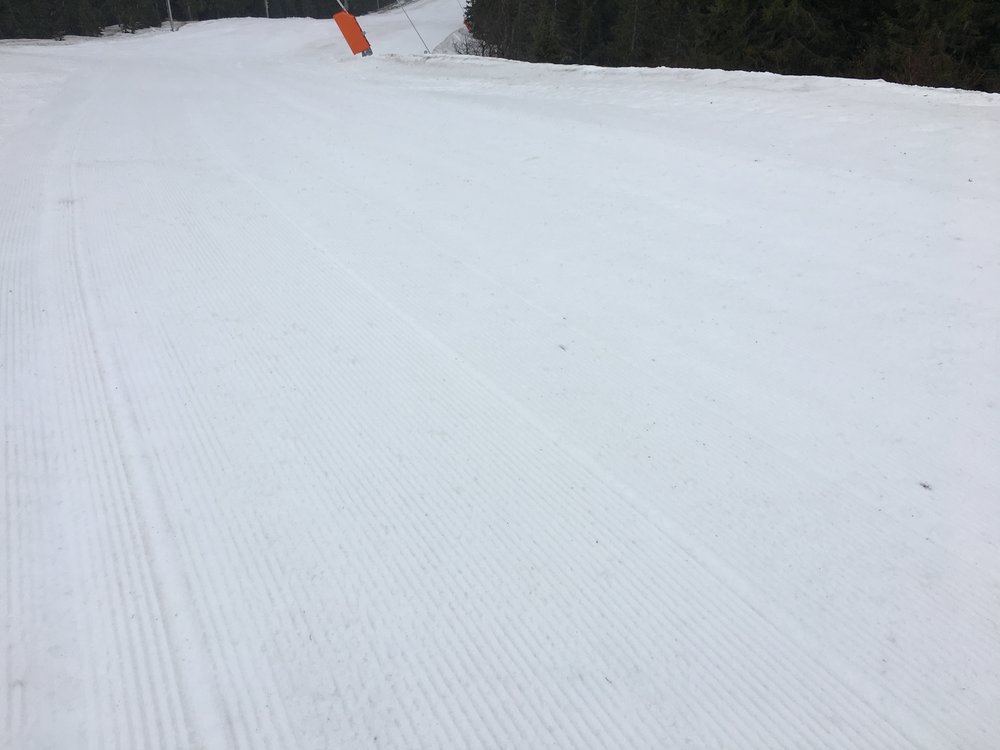 F49856BC-3A8C-42D0-AF49-25A5627EF5D7.jpeg