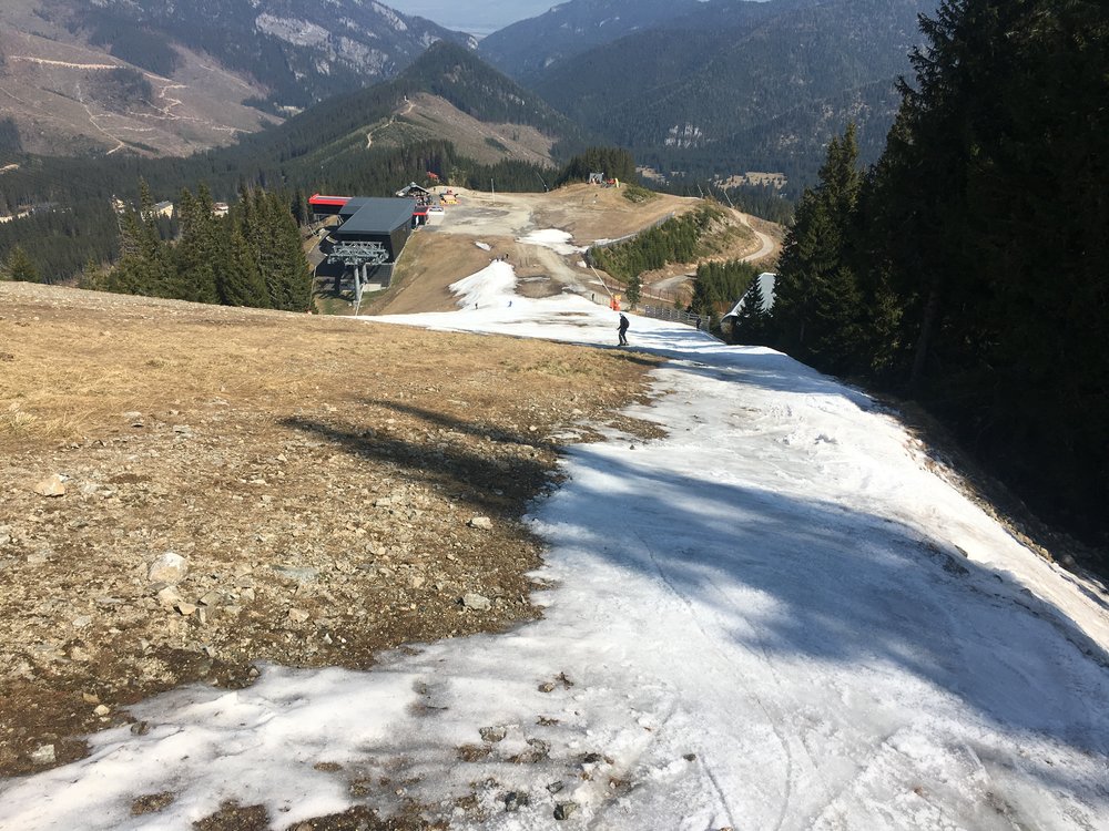 F7E197BE-76DC-419F-A749-090EDF36BE0E.jpeg