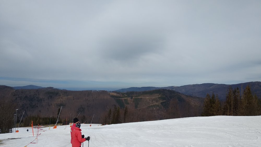 IMG_20180403_102925.jpg