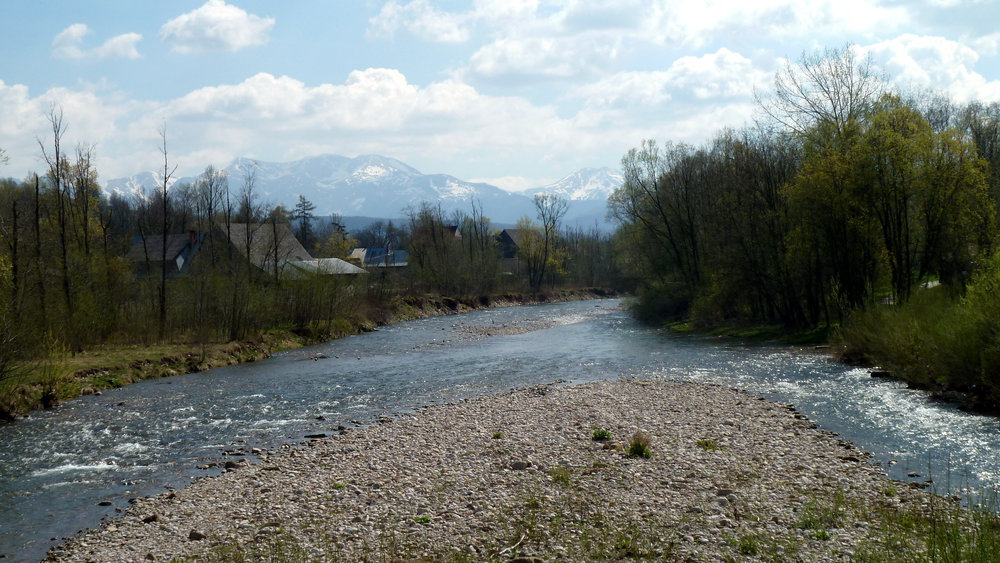 P1150397.JPG