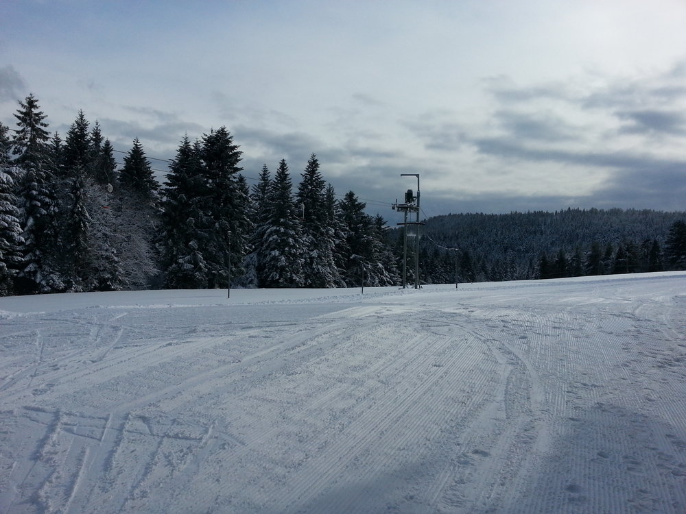 20150131_132630.thumb.jpg.d99ce3a3602cac1114f6ac580ab812c7.jpg