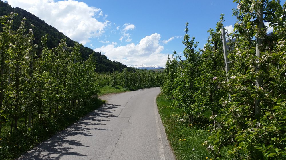 20180430_144709.jpg