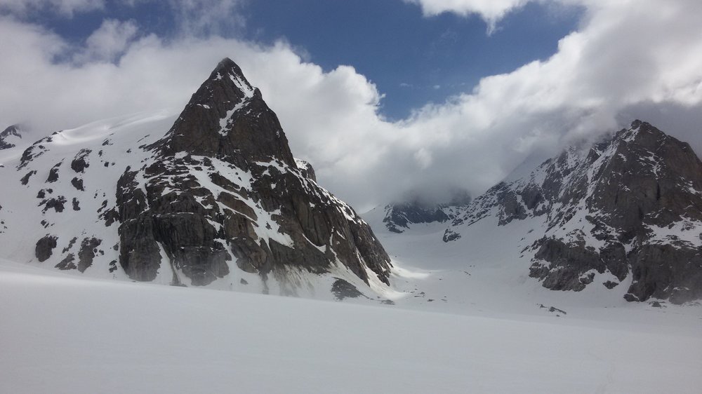 20180510_102911.thumb.jpg.fd8b20bf6e7317402ec53cd155fe1795.jpg