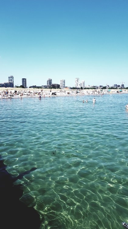 20180603_113114.jpg