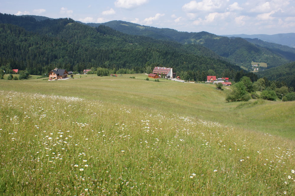 DSC03988.JPG