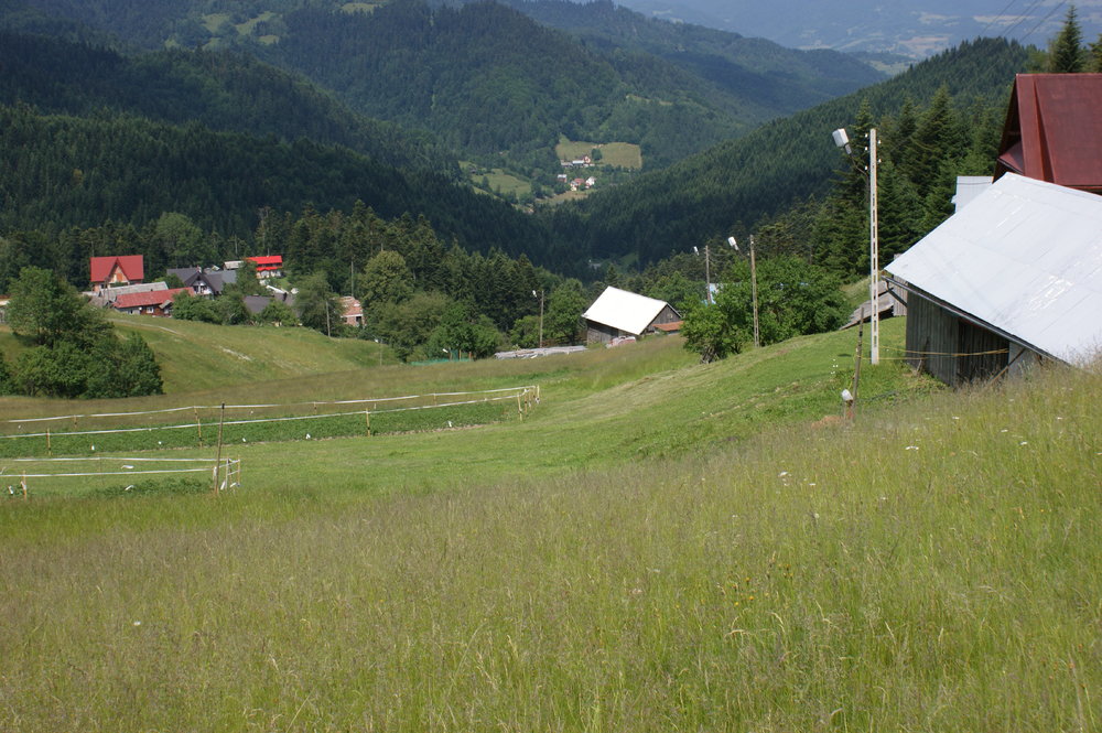 DSC03989.JPG