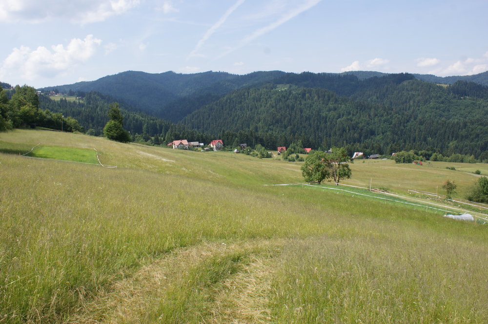 DSC03992.JPG