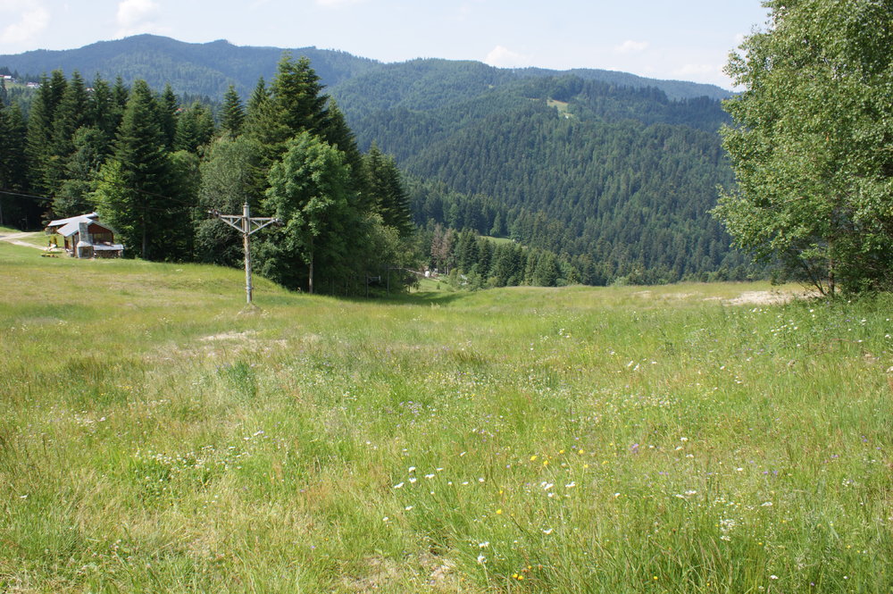 DSC03994.JPG