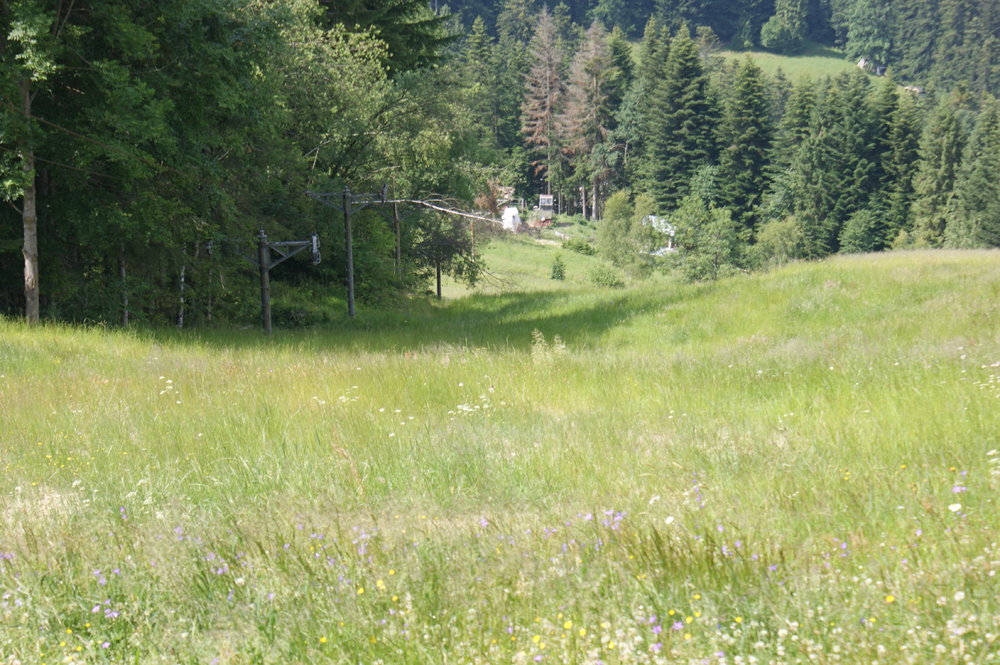 DSC03995.JPG