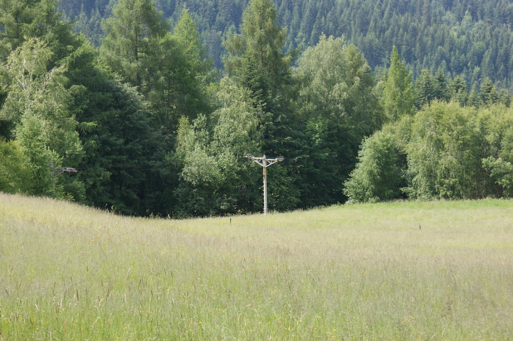 DSC04002.JPG