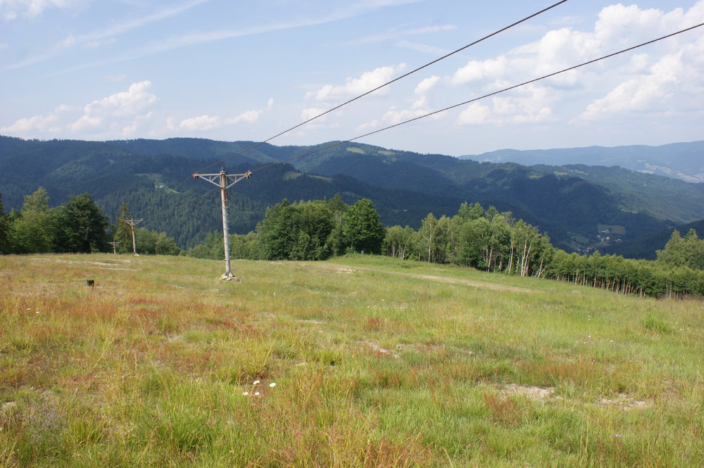 DSC04010.JPG