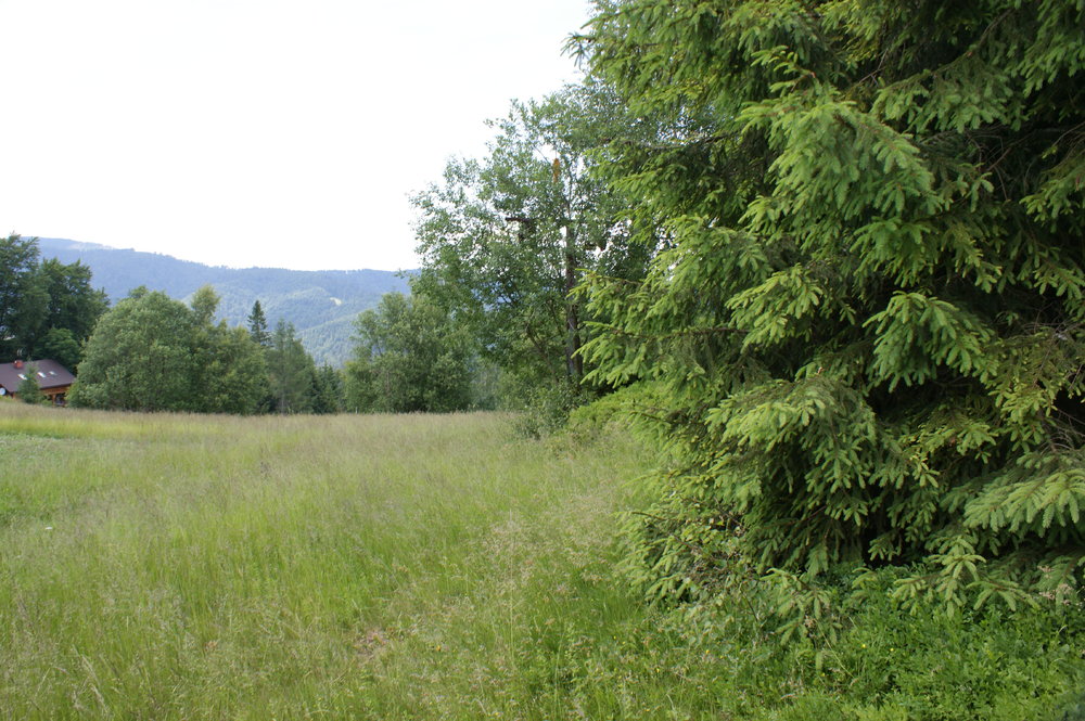 DSC04026.JPG