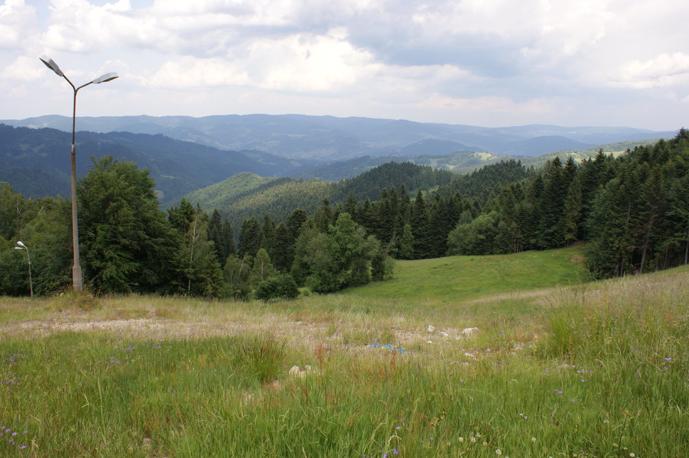 DSC04033.JPG